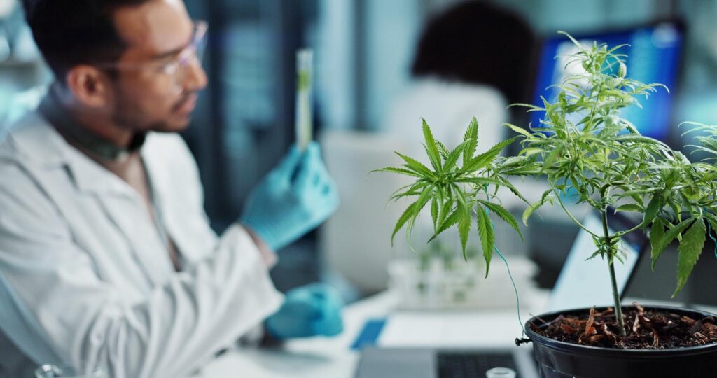 Why Rigorous Product Testing is a Game-Changer for Cannabis Safety