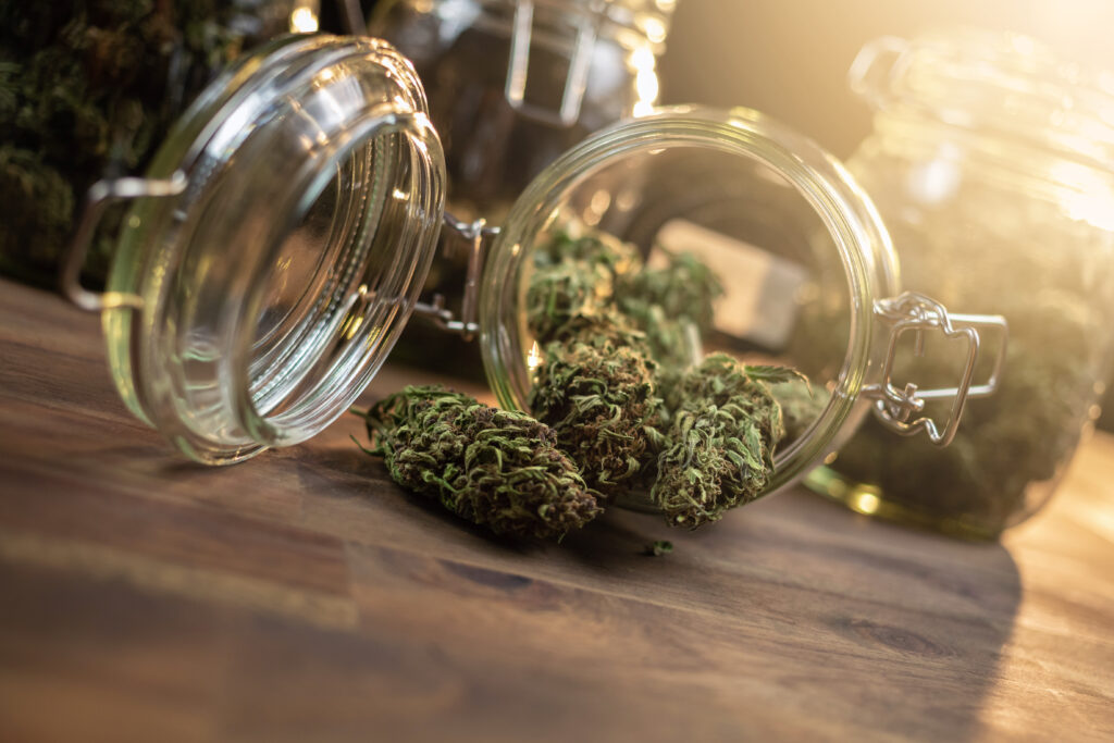 Finding Your Perfect Dose: Tips for a Safe and Enjoyable Cannabis Experience
