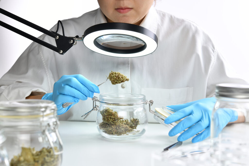 Safe, Tested, Trusted: Top Safety Measures When Buying Cannabis in New Mexico