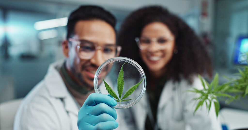 Safe, Tested, Trusted: The Science Behind Elevation 6420 Cannabis Quality