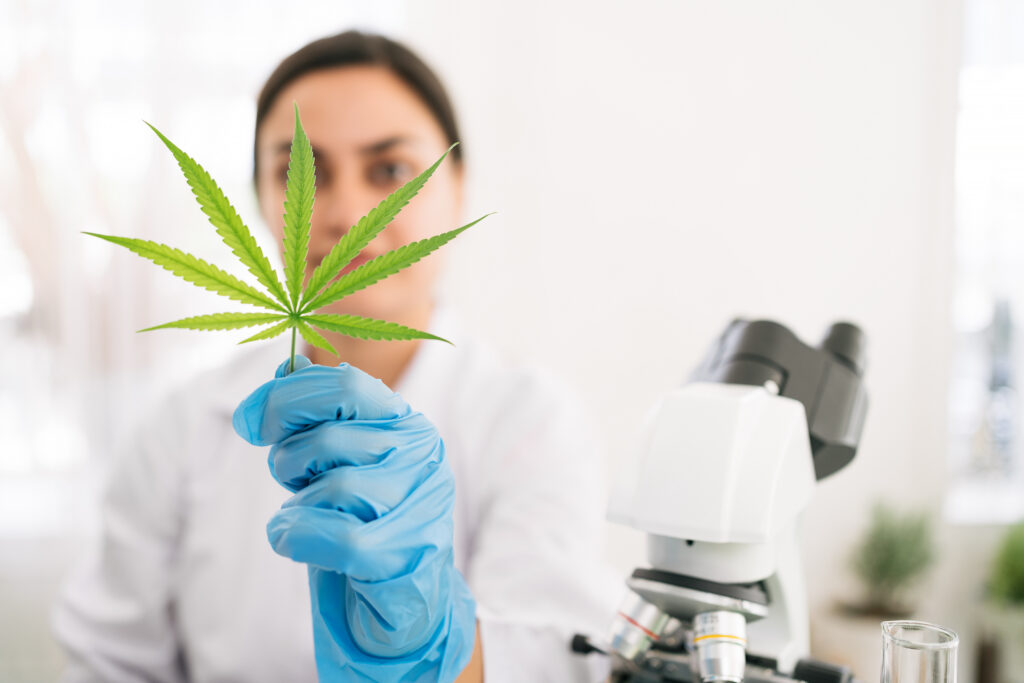 Why Quality Assurance in Cannabis Matters: Behind the Scenes at Elevation 6420