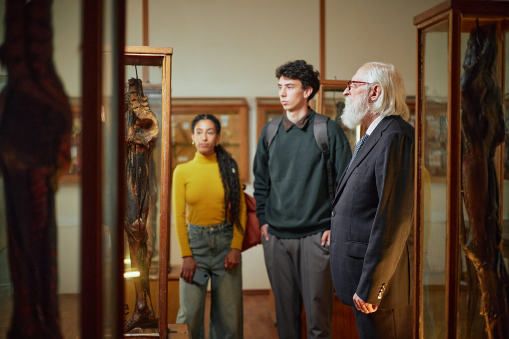 The Rise of Educational Cannabis Experiences: How Museums Transform Understanding at Elevation 6420